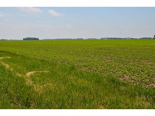 Property photo 30 - LAND AUCTION - 700+/- ACRES OFFERED IN 16 TRACTS IN ALLEN COUNTY, INDIANA